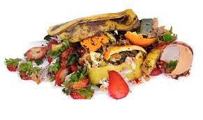 Sérsöfnun á lífrænum eldhúsúrgangi