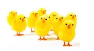 Páskaopnun Kölku 2024